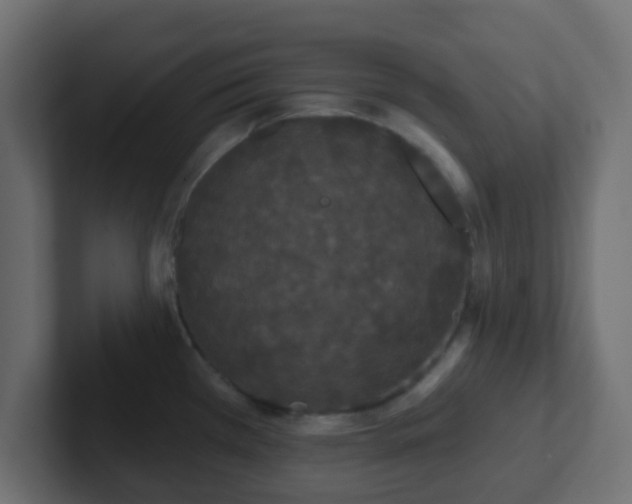 X0000102811385200808251100