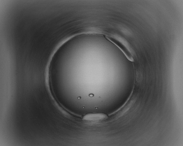 X0000102811387200808251100