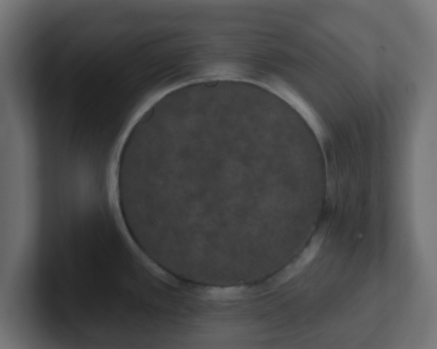 X0000102811389200808251100