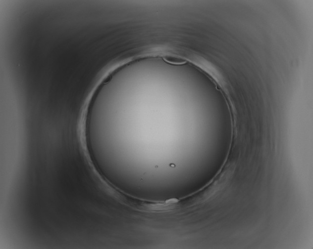 X0000102811392200808251100