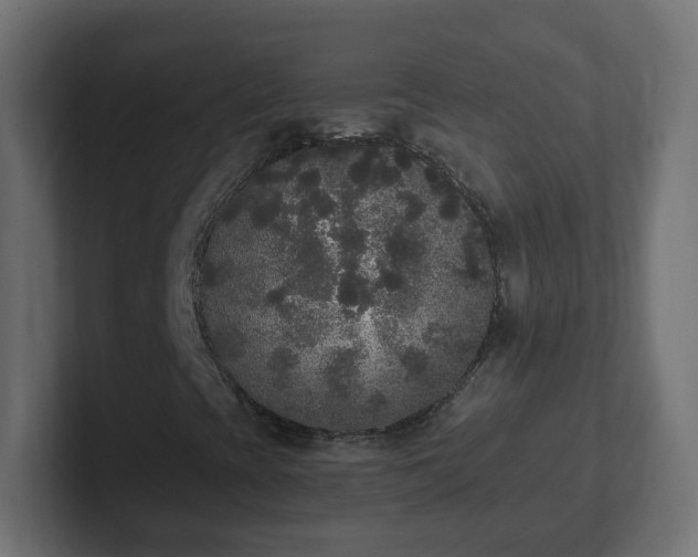 X0000102811393200808251059