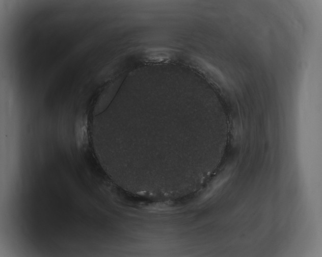 X0000102811394200808251059