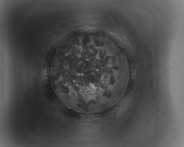 X0000102811397200808251059