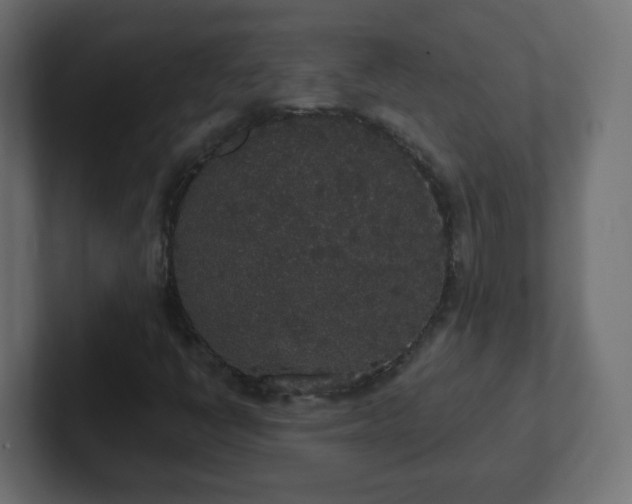 X0000102811398200808251059