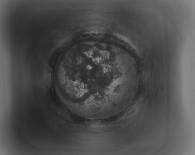 X0000102811399200808251059