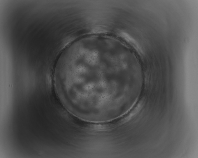 X0000102811401200808251059