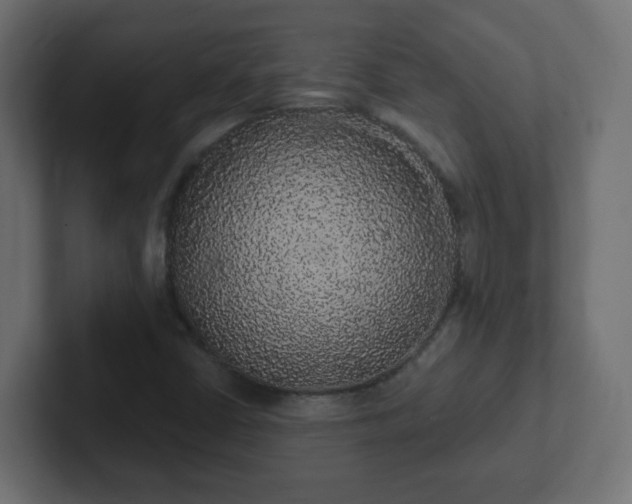 X0000102811402200808251059