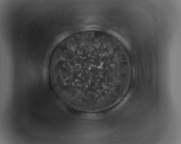 X0000102811405200808251100