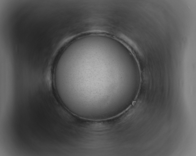 X0000102811408200808251100