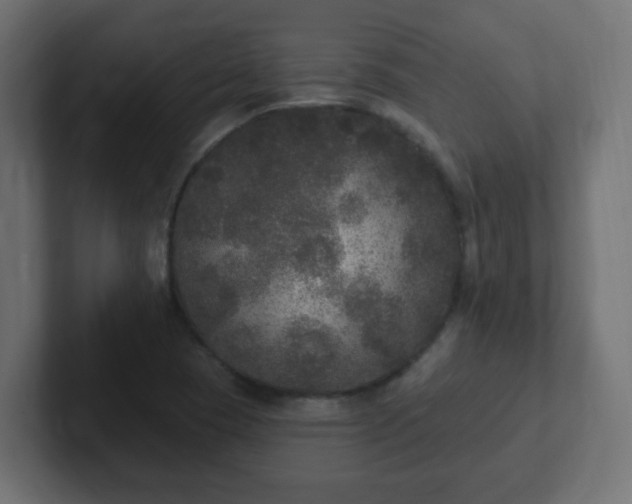 X0000102811409200808251100