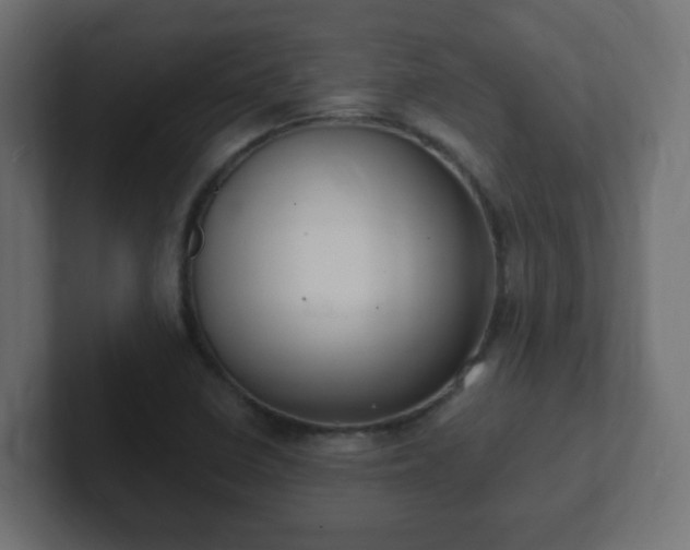 X0000102811410200808251100