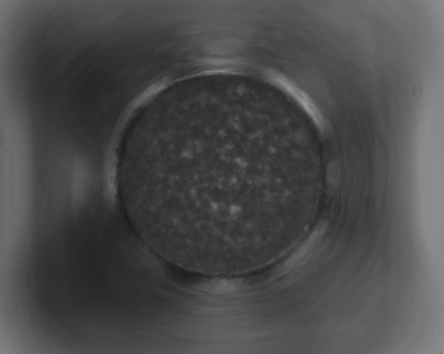 X0000102811411200808251100