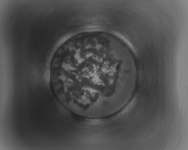 X0000102811413200808251100