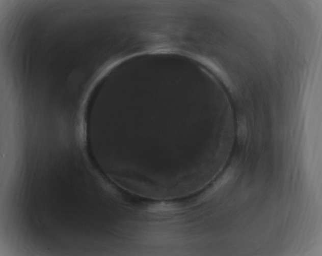 X0000102811414200808251100