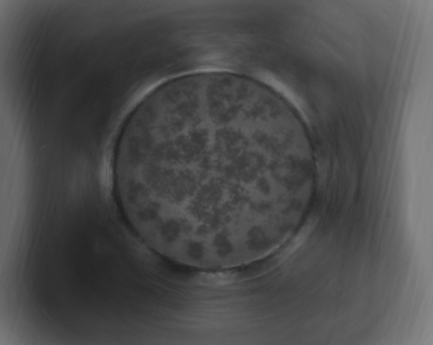 X0000102811415200808251100