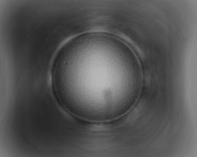 X0000102811416200808251100