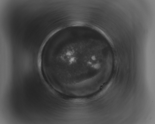 X0000102811418200808251100