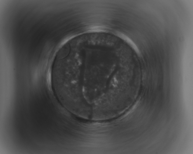 X0000102811419200808251100