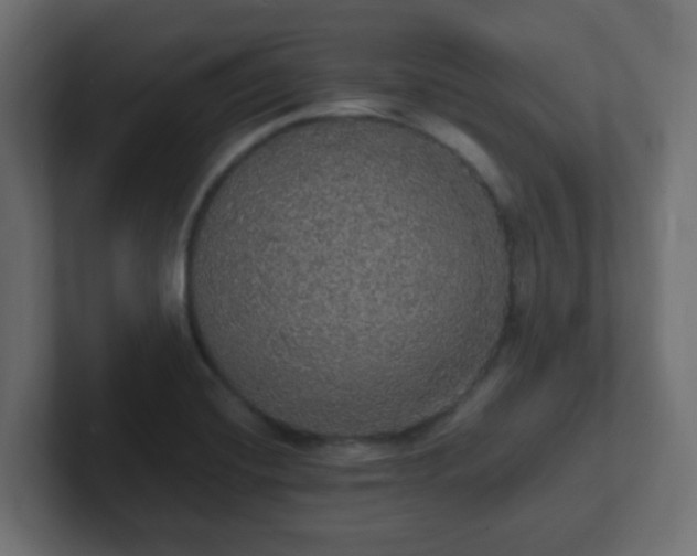 X0000102811420200808251100