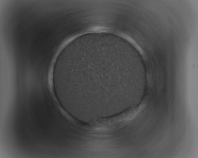 X0000102811421200808251100