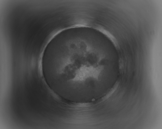 X0000102811423200808251100