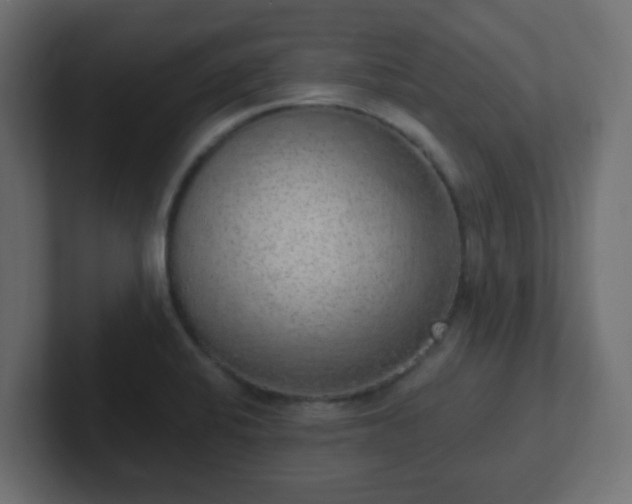 X0000102811424200808251100