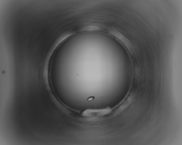 X0000102811426200808251100