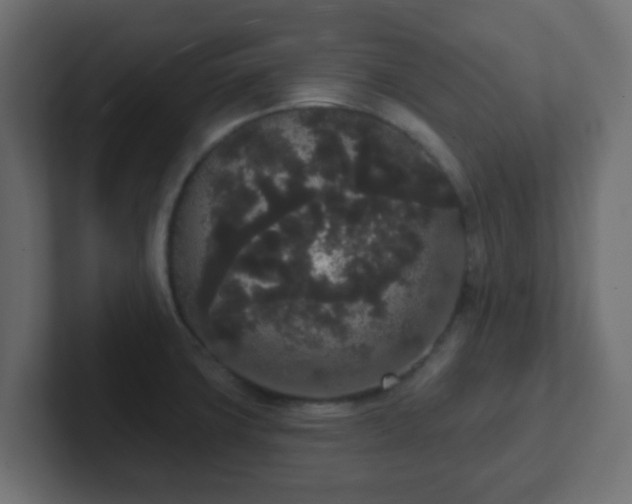 X0000102811427200808251100