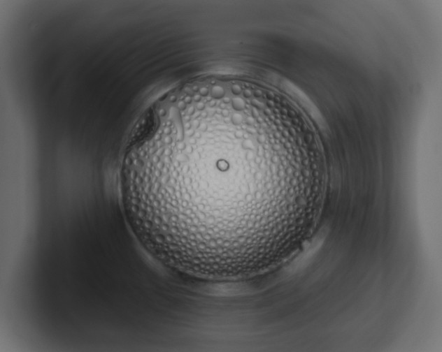 X0000102811433200808251100