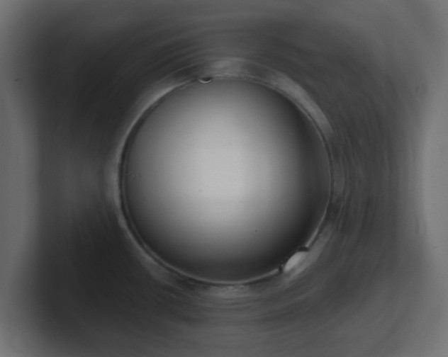 X0000102811434200808251100