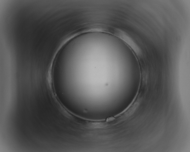 X0000102811436200808251100