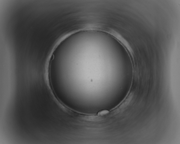 X0000102811437200808251100