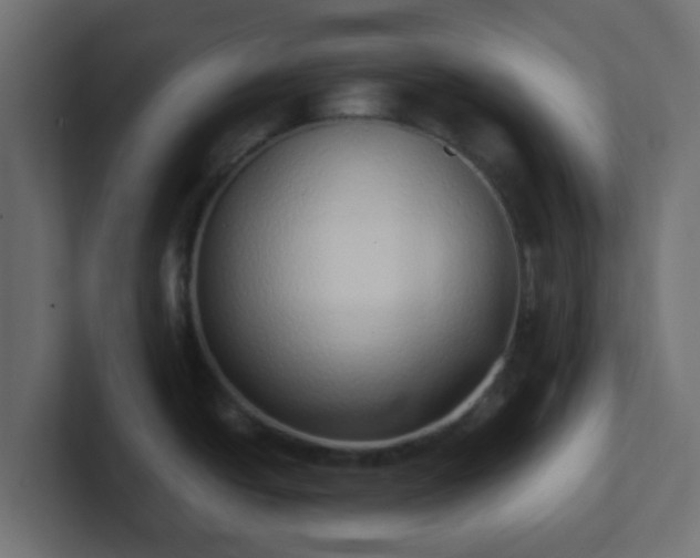 X0000102811438200808251100