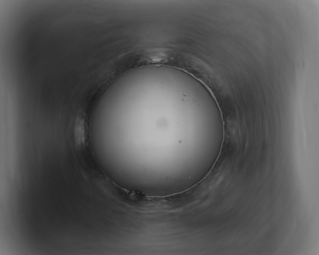 X0000102811442200808251059