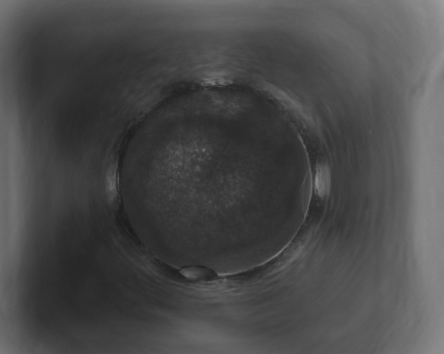 X0000102811444200808251059