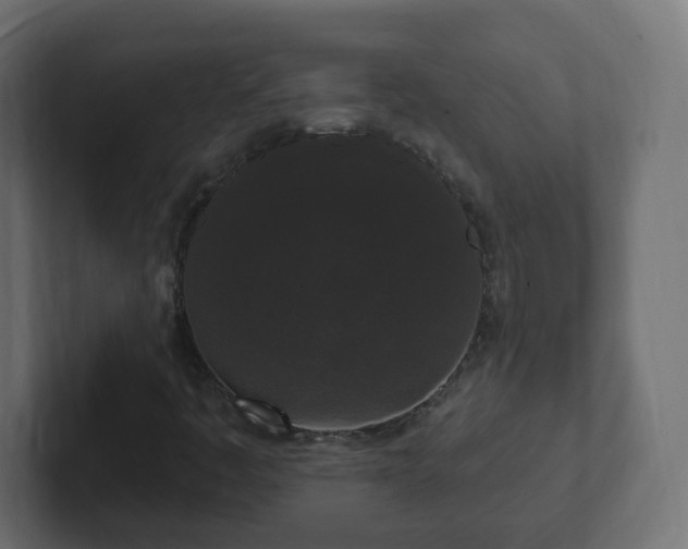 X0000102811445200808251059