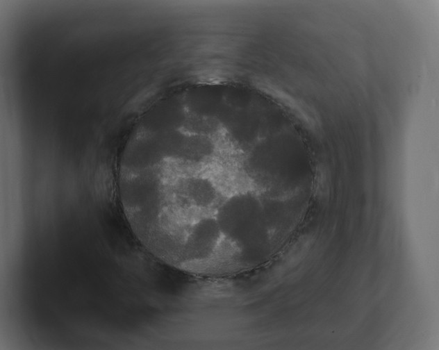 X0000102811446200808251059