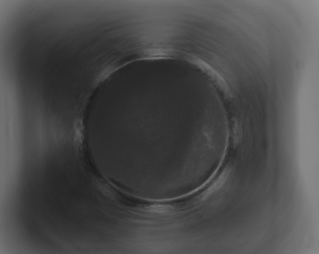 X0000102811449200808251059