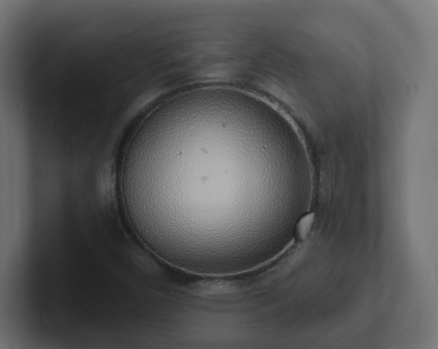 X0000102811450200808251059