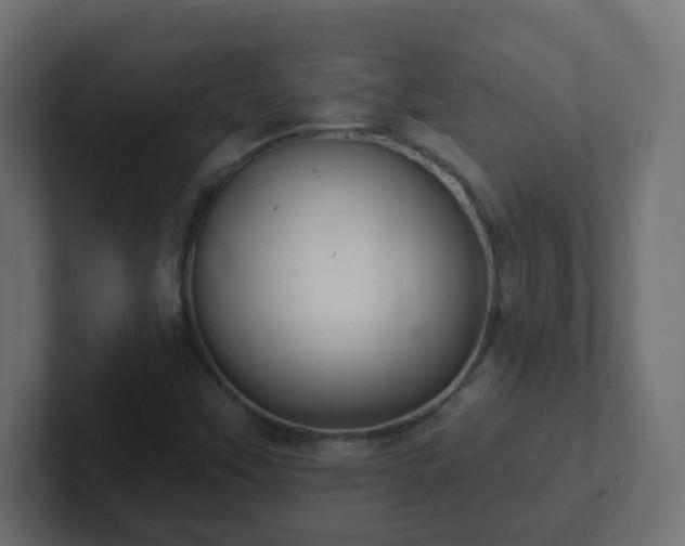 X0000102811451200808251059