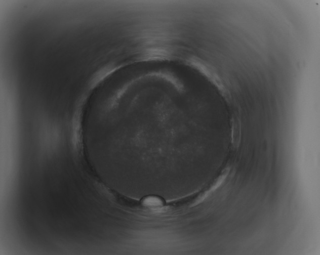 X0000102811453200808251059