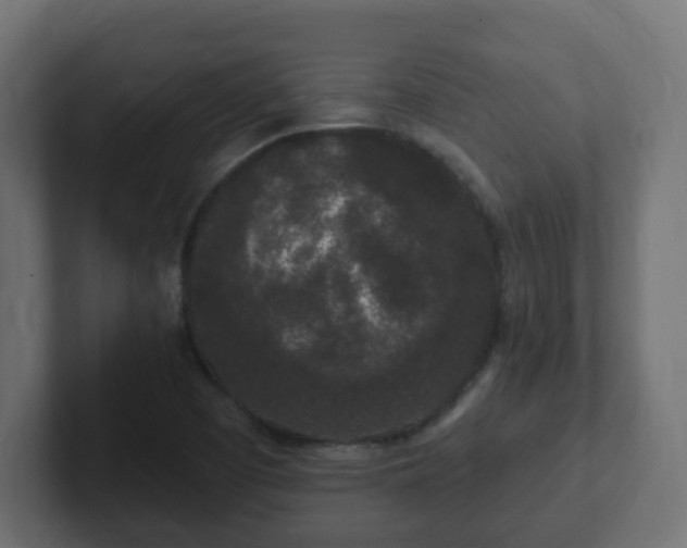 X0000102811457200808251059