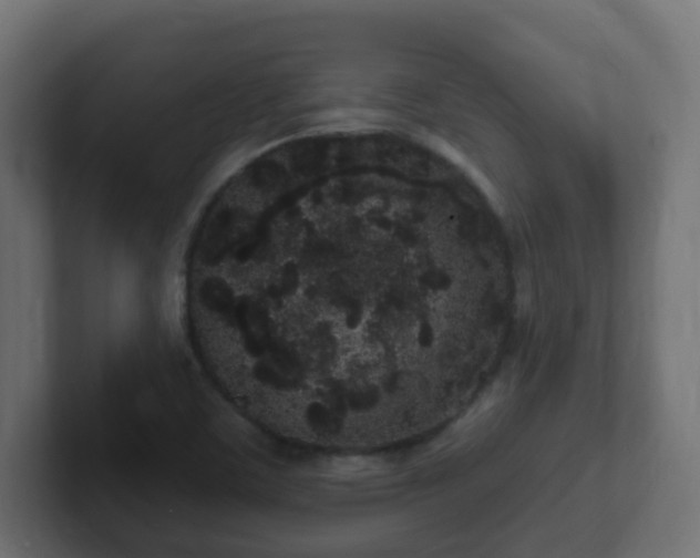 X0000102811459200808251059