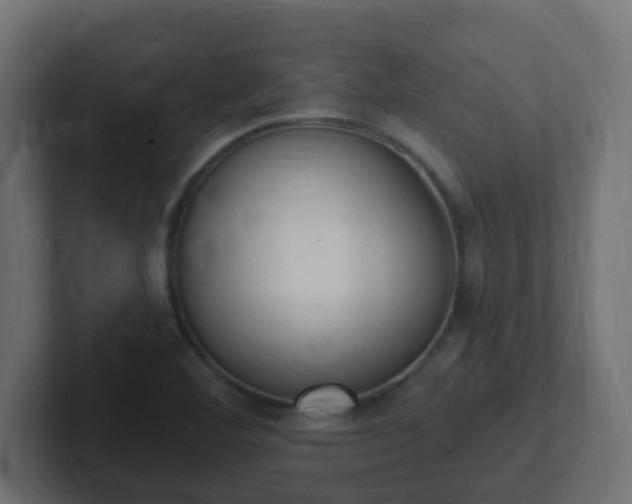 X0000102811460200808251059