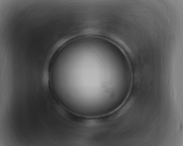 X0000102811461200808251059