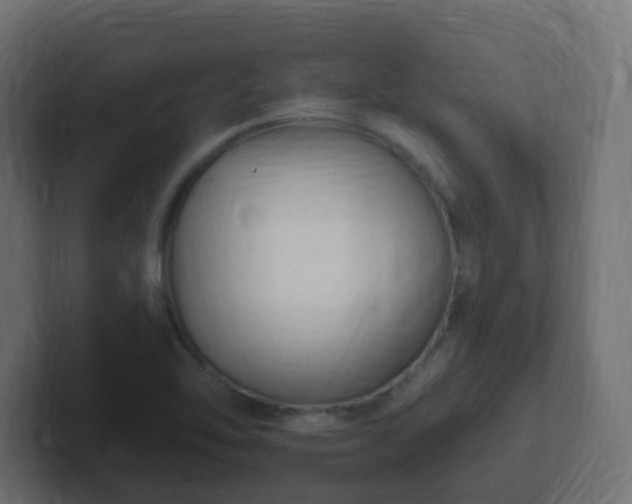 X0000102811462200808251059