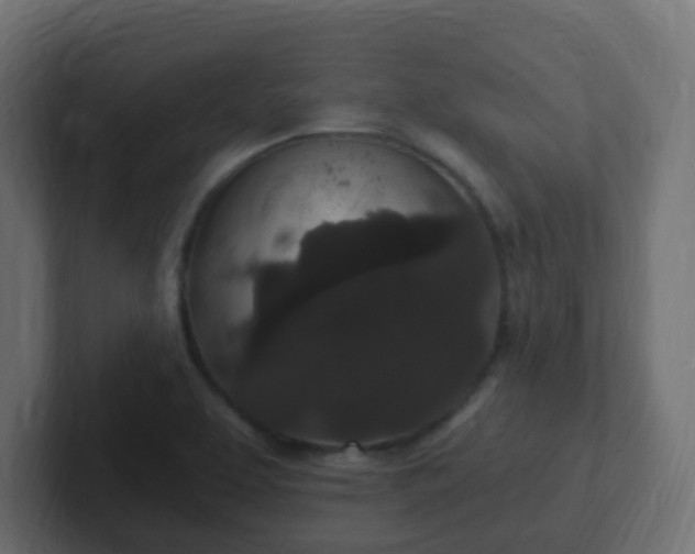 X0000102811463200808251059