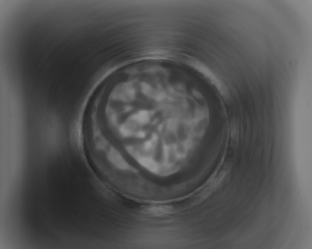 X0000102811466200808251059