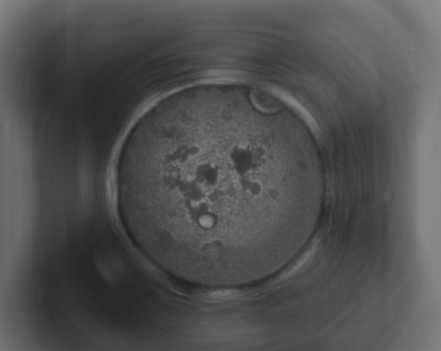 X0000102811467200808251059