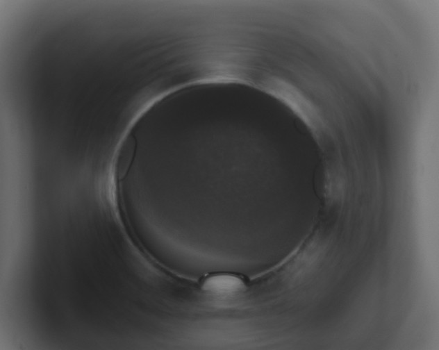 X0000102811468200808251059